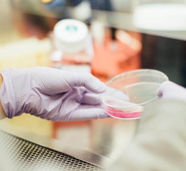 drew-hays-tGYrlchfObE-unsplash